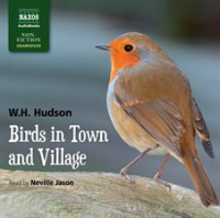 Birds_in_Town_and_Village